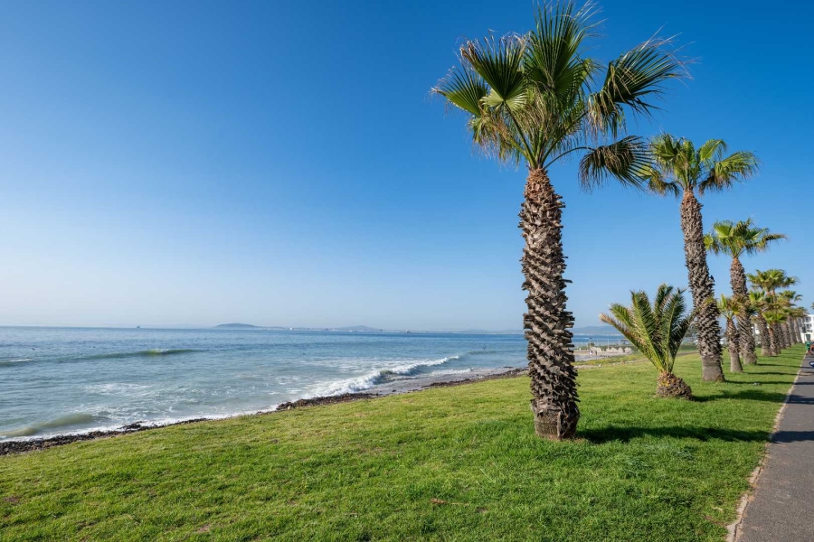 To Let 2 Bedroom Property for Rent in Mouille Point Western Cape